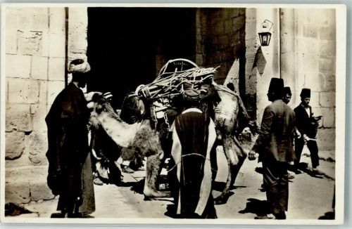 Bethlehem Tracht Kamel