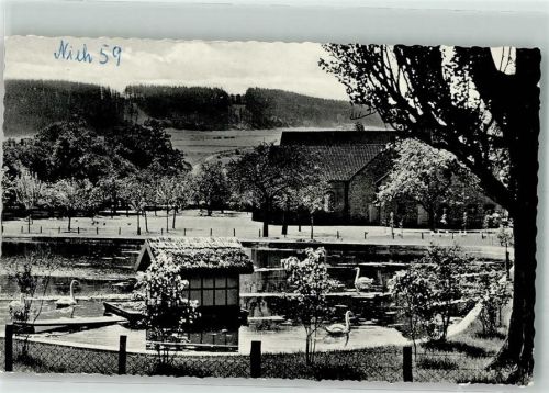 Nieheim Schwäne Teich Holsterberg