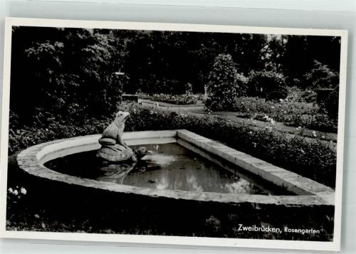 Zweibrücken Rosengarten Schildkröte