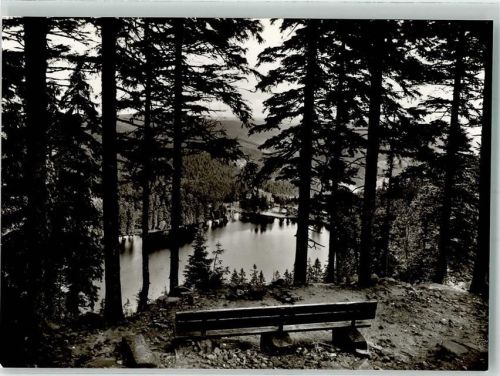 Seebach Hotel Mummelsee