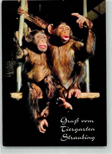 Straubing 1979 Judy und Cain im Zoo