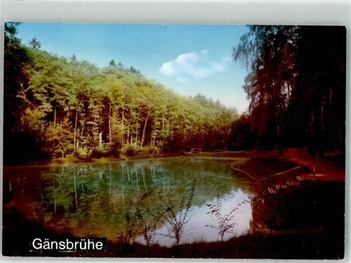 63110 W6054 Dudenhofen , Kr Offenbach am Main FOTO KEINE AK Gänsbrühe Teich Ort handschriftlich Foto Original aus Archiv eines Ansichtskartenverlags