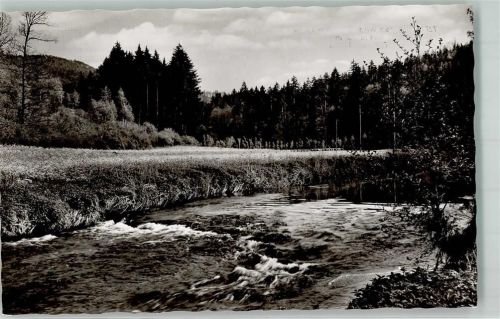 Wildberg Nagoldtal
