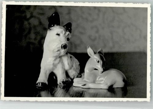 Reh und Hund