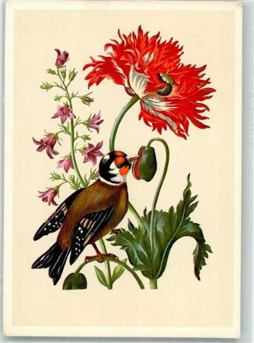 London sign. Merian Mariea Sibylle Mohn Glockenblume Britisches Museum Woldemar Klein Verlag Nr. 128/11