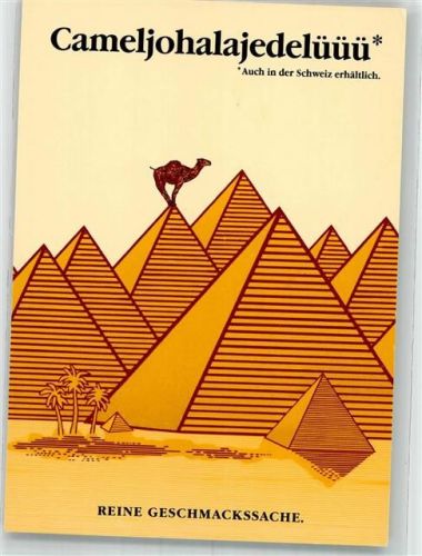Camel