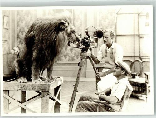 USA um 1925 Stativ Kamera um einen Löwen zu fotografieren