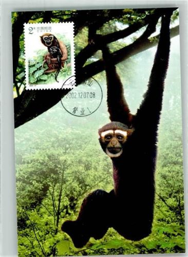 Weißbrauengibbon Sondermarke