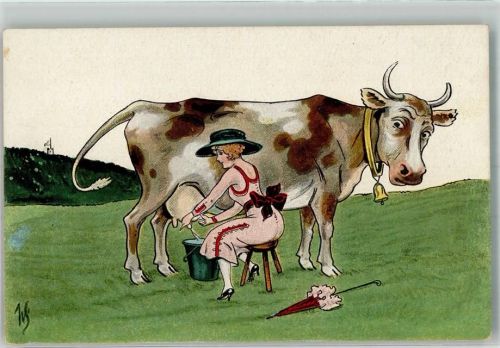 Humor Kuh Frau WSBS 229