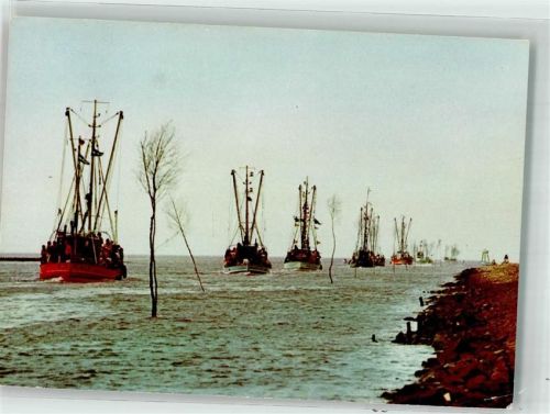 Friedrichskoog 1974 Krabbenkutter Regatta