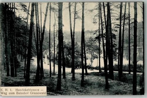 Grunewald 1920 Hundekehlensee Weg zum Bahnhof