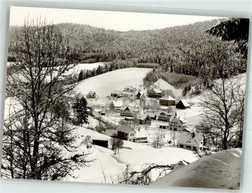Reinerzau Winter