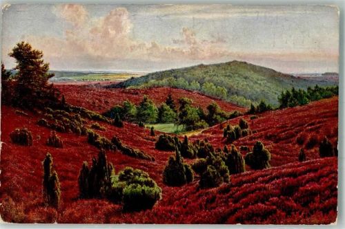 Wilsede Naturschutzpark Lüneburger Heide