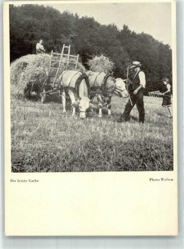 Foto Welten Die letzte Garbe Ernte