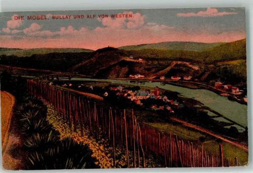 Bullay Mosel