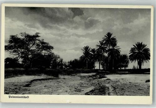 Palmenlandschaft Wie lange noch ohne Kolonien ?