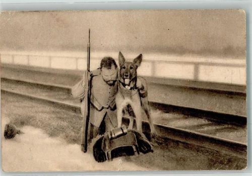 1915 Troll stützt den Verwundeten Spende
