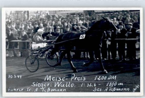 Meise Preis , Sieger Wallo , Foto-Karte