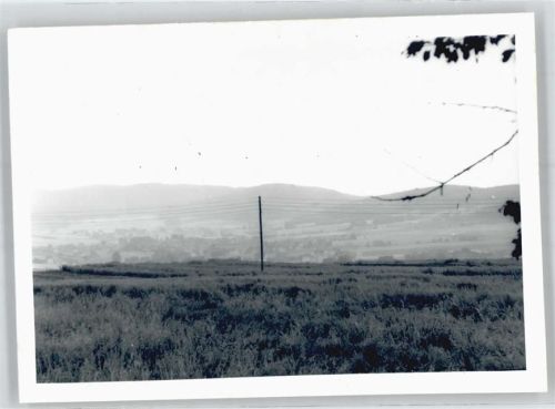 Eininghausen Fotoabzug
