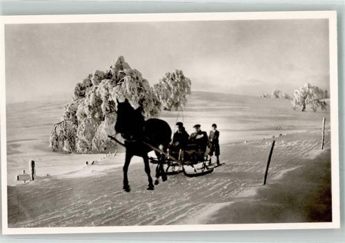Oberried Einspänniger Schlitten im Winter Hotel Halde