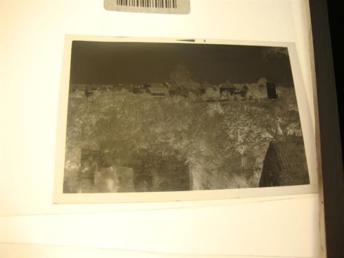 Friedewald Negativ