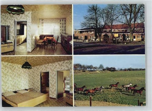 49733 W4472 Haren (Ems) - Reiterhof, Pension Lüssing, Pferd