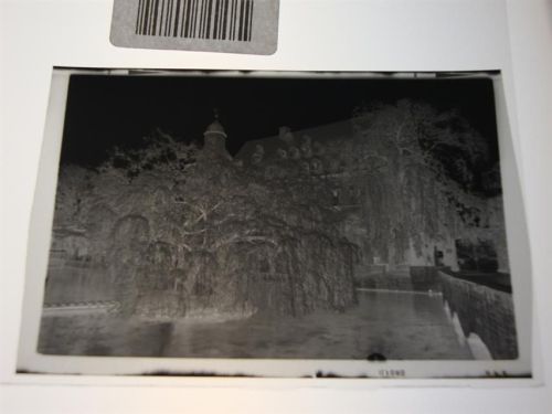 Erwitte Negativ