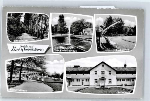 Bad Waldliesborn Birkenallee, Springbrunnen, Kurmittelhaus, Parkpartie, Badehaus