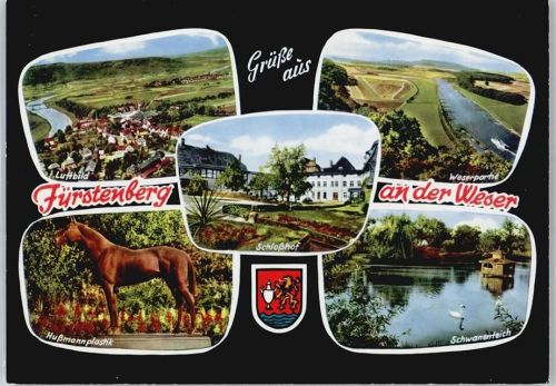 Fürstenberg Schloßhof, Weserpartie, Schwanenteich, Hußmannplastik, Wappen, Fliegeraufnahme