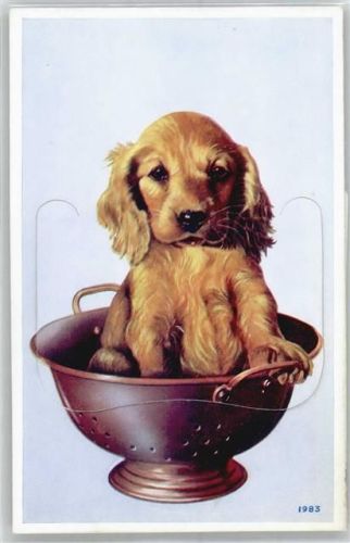 Gand Leporello, Hund