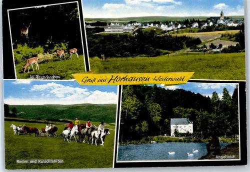 56593 W5453 Horhausen (Westerwald) - Angelteich