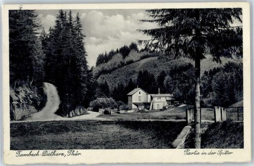 99897 O5809 Tambach-Dietharz , Thüringer Wald - Spitter