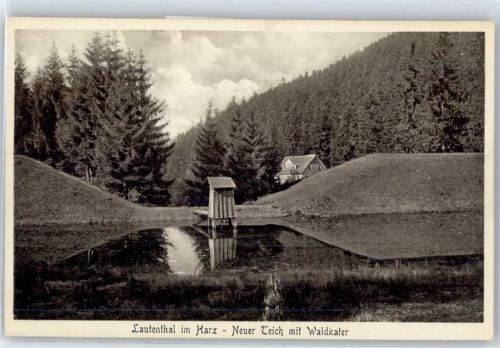 Lautenthal Neuer Teich mit Waldkater