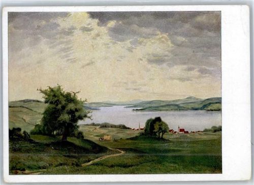 Sommer am Bodensee