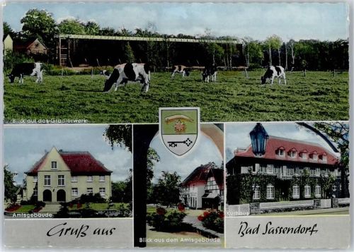 Bad Sassendorf Gradierwerk Kurhaus Wappen Kühe