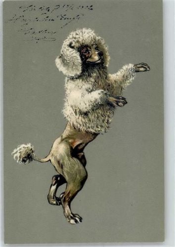 1902 Hunde