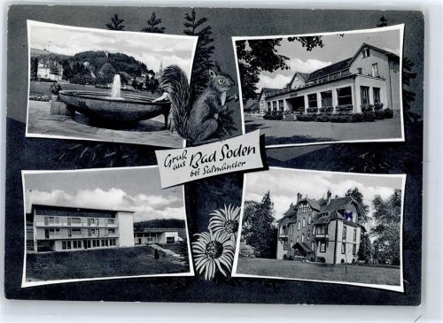 Bad Soden-Salmünster König-Heinrich-Sprudel Kurhaus Hotel St. Georg Haus Lorbach Eichhörnchen