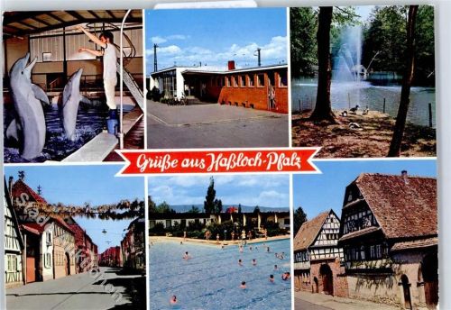Haßloch Delphinarium, Bahnhof, Vogelpark, Langgasse, Schwimmbad Freibad, Älteste Häuser