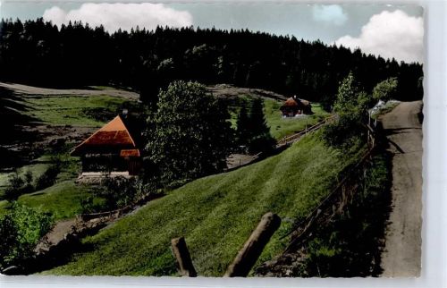 Blasiwald AKU1