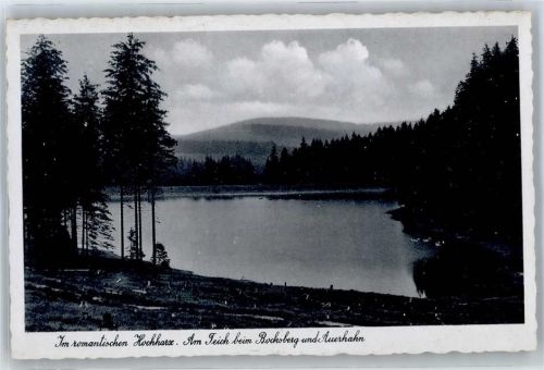 Auerhahn Teich Bocksberg