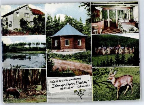 Hesselbach 1963 Gasthaus zum grünen Baum Jagdhüttte Schloss Waldleiningen Wildaufnahmen