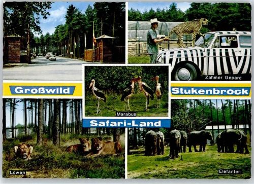 Stukenbrock Senne Grosswild Safari
