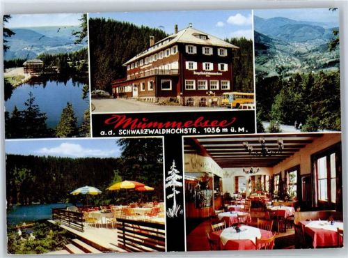 Seebach Berg-Hotel Mummelsee