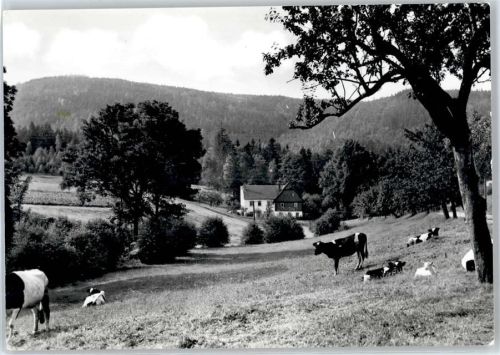 Großschönau Gasthaus zur Neu-Sorge