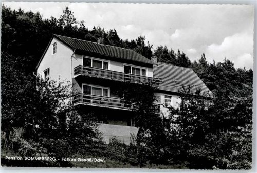 Falken-Gesäß Pension Sommerberg