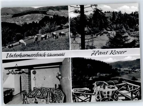 77736 W7615 Unterharmersbach Werbe AK Pension Haus Roser