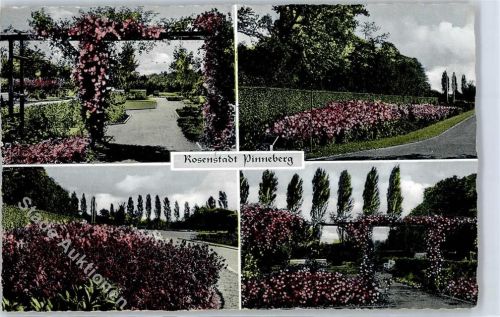 Pinneberg Im Rosengarten