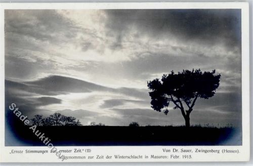 Zwingenberg Ernste Stimmung Dr. Sauer