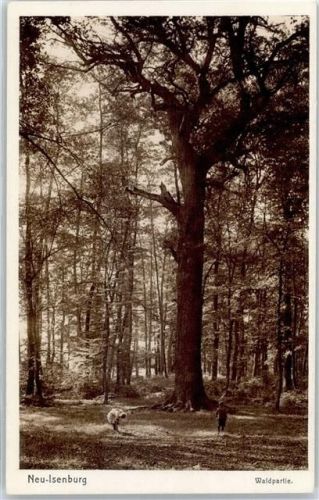 Neu-Isenburg Waldpartie