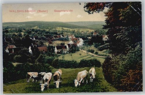 Waldhilsbach 1912 Blick auf Waldhilsbach